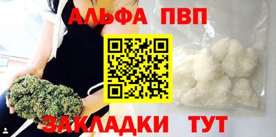 стаф Донской