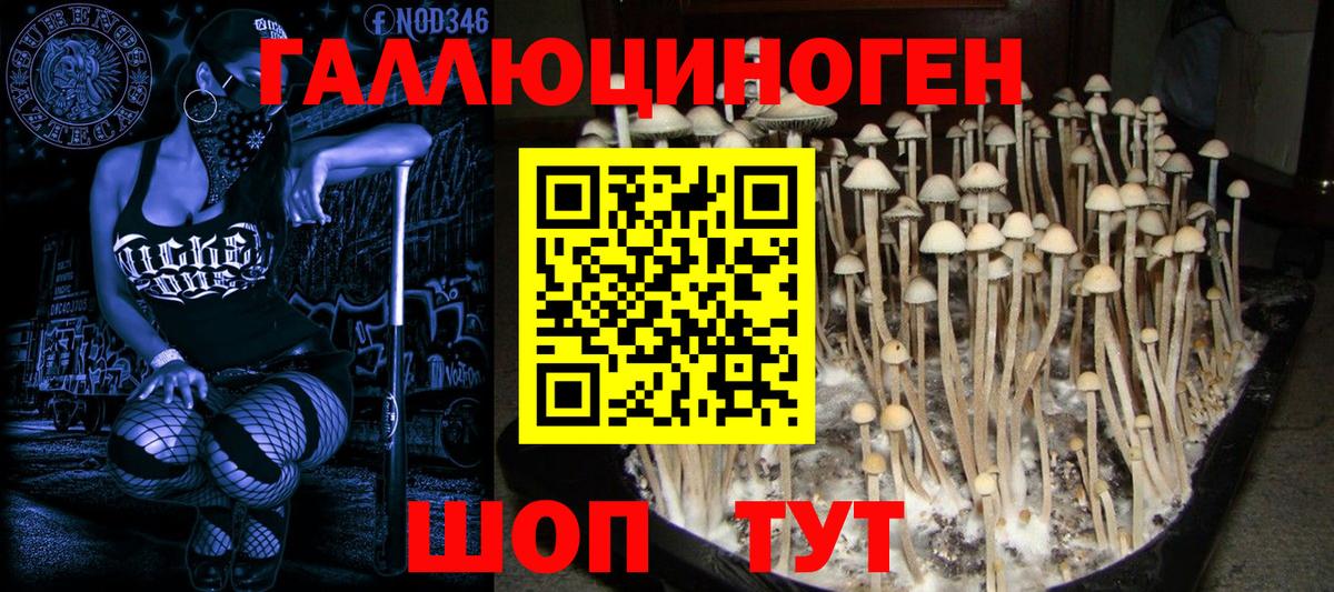 Псилоцибиновые грибы Magic Shrooms Малоярославец
