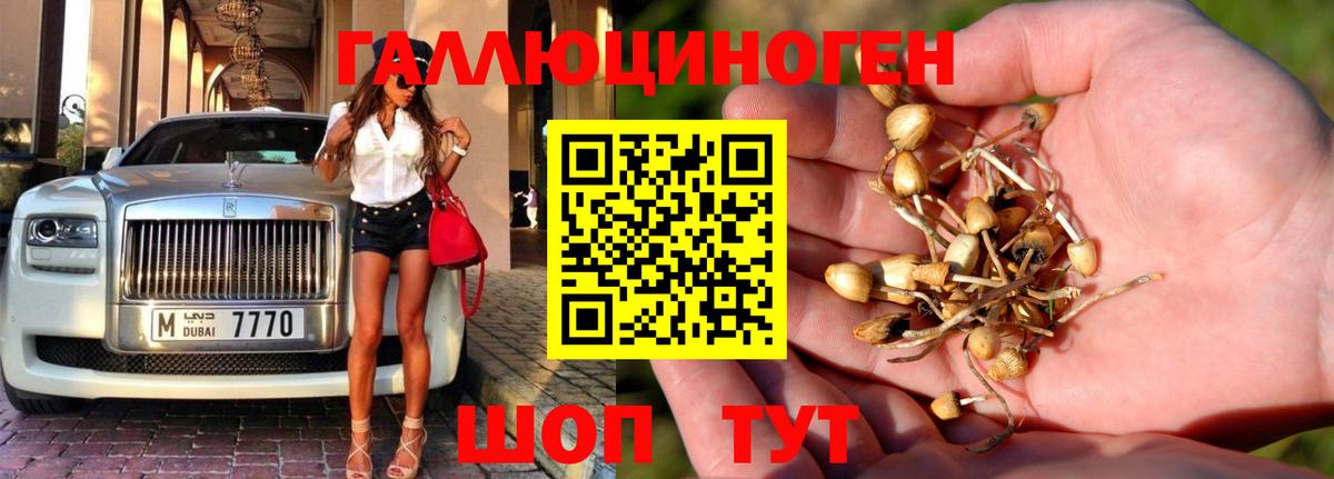 Галлюциногенные грибы мицелий  Вход с VPN  Галлюциногенные грибы Cubensis  Малоярославец 